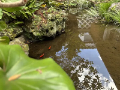Newly open :Japanese guesthouse Okuzasiki Onsen Stay