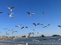 이란 완자 아파트 - 마운틴 뷰