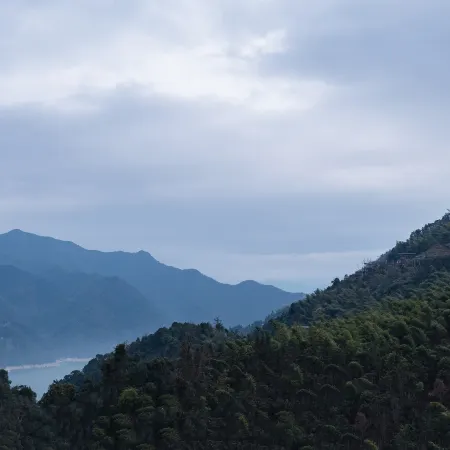 Boyun  mei shu