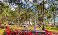 Rừng Lá Kim Resort - Resorts