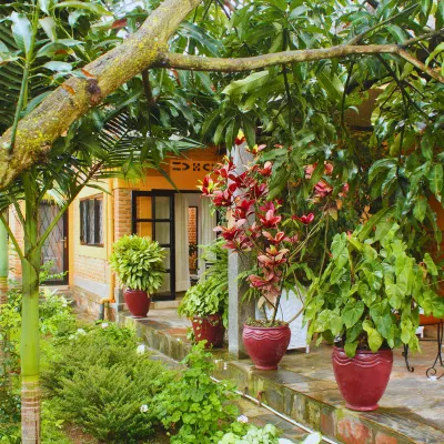 سالاما فيليدج كيغالي Hotels near مركز انيما للفنون