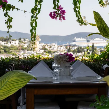 El Vino Hotel & Suites