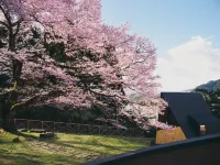Kokage Villa Nikko-KVN - Villas