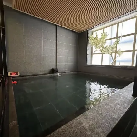 GreenTree Eastern Hotel (Urumqi Tianshan Mingyue City Branch)