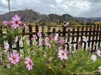 可可託海可可里民宿 鄰近Phenix可可託海黑鑽俱樂部的酒店