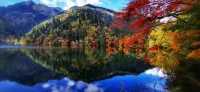 Songyun No.1 Hotel (Jiuzhaigou Scenic Area)