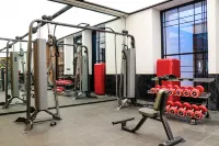 Zhangjiakou Fulong Fengling Yuegu Fanwoods Hotel - gimnasio