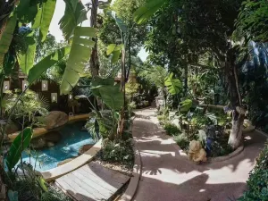 昆明海麗賓雅萬達嘉華温泉酒店