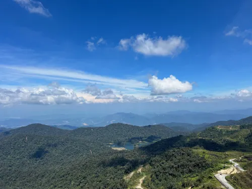 Grand Delemen by Quince Home