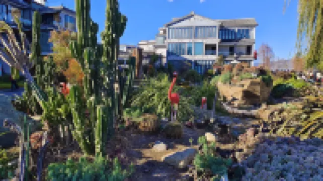 大理·海之星民宿（洱海龍龕港）