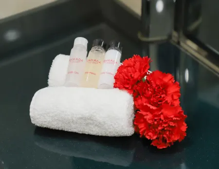 라마다 타슈켄트