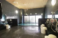 Hotel Route-Inn Toki Hotels in Тадзімі