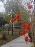 Pu Shu Homestay (Heyuan Longguangcheng Branch) - 마운틴 뷰