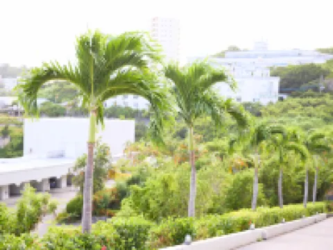 ライカムファミリーリゾートホテル（旧ヒヤグンラナイリゾート） 沖縄こどもの国周辺のホテル