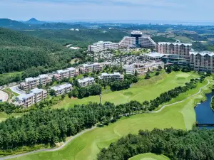 소노펠리체 델피노