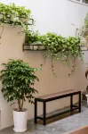 Cashew Inn - Inns