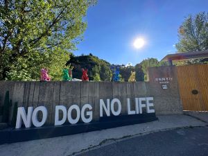 No Dog No Life