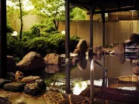 Mercure Kyoto Miyazu Resort & Spa - Hot Springs