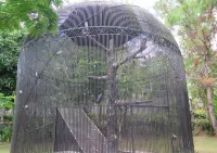 Cintai - Coritos Garden Hotel