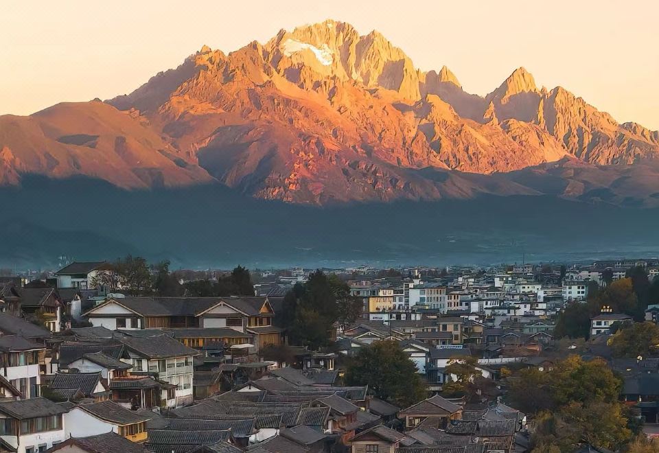 2. 페어리랜드 샹핀..