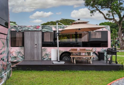 버스 컬렉티브 외관