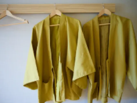 Royal Hotel Kawaguchiko Hotels in Fujikawaguchiko