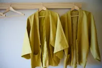 Royal Hotel Kawaguchiko