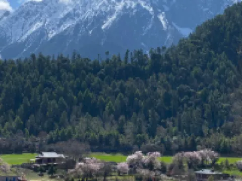 랑추포안산속의 집 보미 호텔