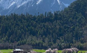 Boan Mountain perch resort&campground