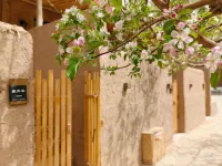 Dunhuang No.23 Courtyard