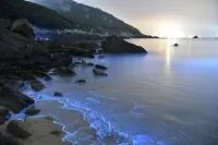 フリポート海瀛湾ホテル 福州 - オーシャンビュー