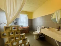 Leshan Jinsha Memory · Jinjiang Cultural and Creative Homestay (University City Branch)