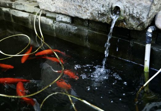 페킹 스테이션 호스텔 객실