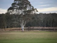 Adina Vineyard Hotels in Lovedale