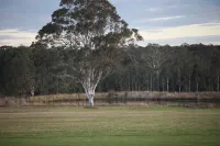 Adina Vineyard Hotel di Lovedale
