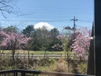 Hotel Fuji Kimien - Mountain view