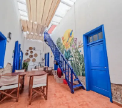 Ashavana Nest Hostel