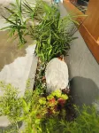 韶山芙蓉國裡飯店（故居景區銅像廣場店） - 廚房