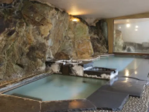 Shirakabeso Hotels in Izu