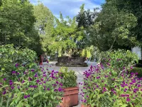 Jiangcheng Dingsheng Hotel - Mountain view
