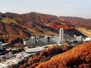 Phoenix Hotel Pyeongchang