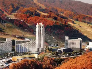 평창의 인기 베스트 4성급 호텔