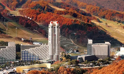 휘닉스 호텔 평창