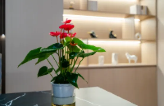 雅哚酒店（遂川縣博物館店）