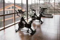 Swiss Lenana Mount Hotel - Gym