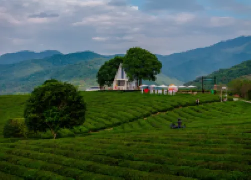 未遲·心池櫻花谷度假酒店 鄰近捉鹿豎罔的酒店