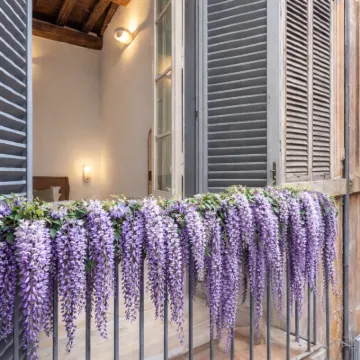 Amelie Suite Trevi Hotels near Via dei Crociferi