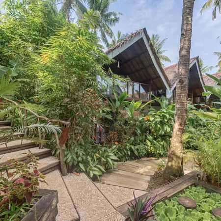 Jungle Nest Resort