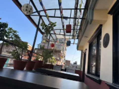 Bed and pillow hostel のホテル