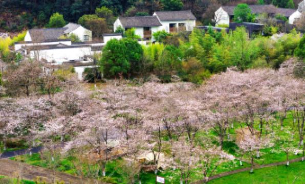 Pusen Lanting ShaoXing